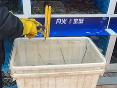 -蟹状元大闸蟹·年货·粽子(成都成华店)