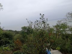 -巢湖姥山岛