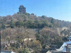 -七欣天香辣蟹火锅(南京建宁路大观天地店)