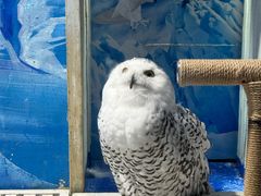 -成都浩海立方海洋公园