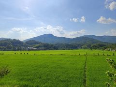 -罗田大别山峡谷漂流