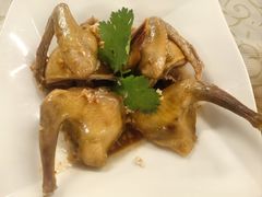 -百利鸽王(紫薇路店)