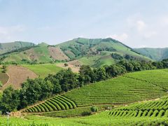 -帐篷客·溪龙茶谷度假酒店