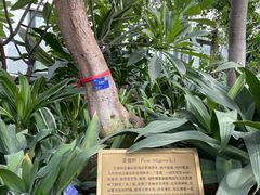 -国家植物园南园