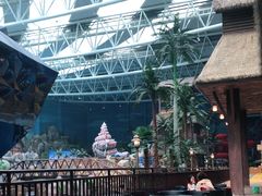 -青岛东方影都融创水世界