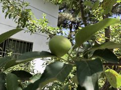 -北京大学(昌平校区)