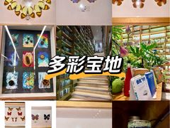 -艾溪湖湿地公园