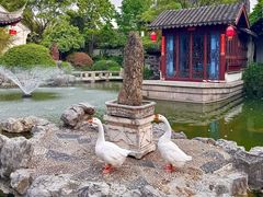 -祝家花園(伯渎港店)
