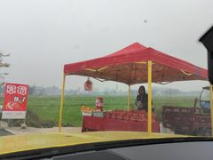 -金谷域澳洲庄园