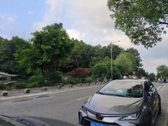 -铁山坪森林公园