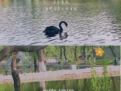 -石家庄市动物园