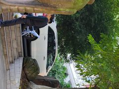 -三峡古玩城(泰古广场店)