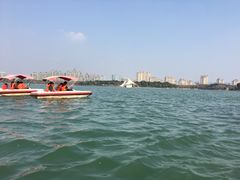 -暨阳湖生态园