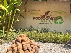 -大象粑粑造纸公园