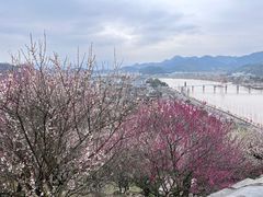 -台州府城(江南长城)