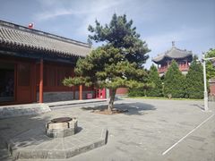 -西海子公园