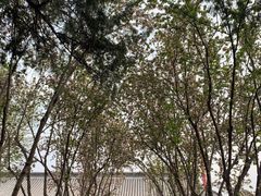 -保定直隶总督署博物馆