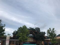 -杭州开元森泊度假乐园