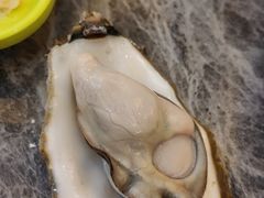 -四海蒸鲜蒸汽海鲜自助(北戴河店)