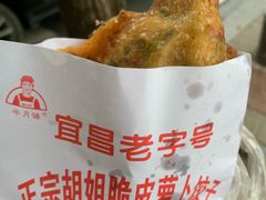 -半月镰胡姐脆皮萝卜饺子