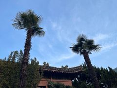 -南京钟山宾馆(江苏省会议中心)