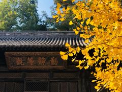 -大觉寺-停车场