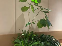 -Peet's 皮爷咖啡(海雅缤纷城店)