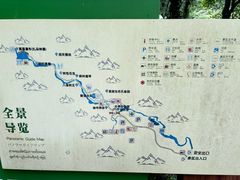 -莫里热带雨林景区