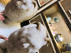 -新兴家喻酒家·羊城名宴(昌岗店)