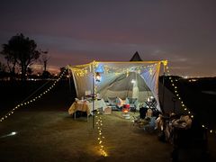 -春花秋色城市公园