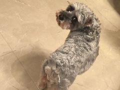 -鑫明明拉面(宁化路店)