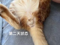 -美迦爱-牙专科·兔科·骨科诊疗中心(北苑店)