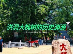 -大槐树寻根祭祖园