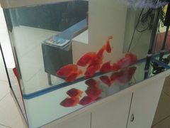 -北京松山友福汽车贴膜·隐形车衣 洗美(良乡店)