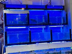 -老东风菜馆·羊肉火锅·海鲜·砂锅粥