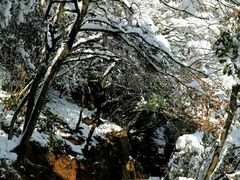 -杭州半山国家森林公园