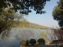 -羊山湖公园
