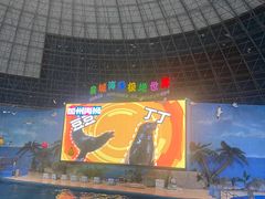 -泉城欧乐堡海洋极地世界