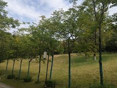 -鹦鹉寺公园