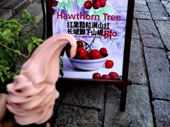 -云端咖啡(古北水镇景区店)