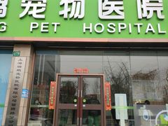 -瑞鹏宠物医院·内科·中兽医·骨科(苗圃店)