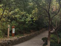 -杭州半山国家森林公园