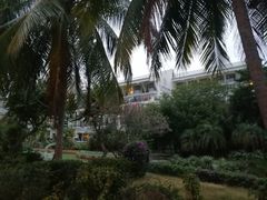 -中国沙滩排球队三亚训练基地