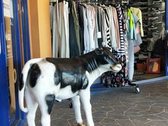 -Dooley's Premium Ice Cream