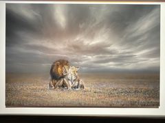 -罗红摄影艺术馆