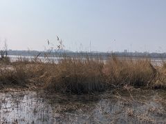 -绿堤公园