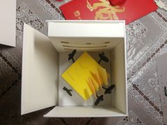 -BLACKSWAN黑天鹅(环球店)