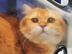 -美联众合动物医院·24h京西诊疗中心