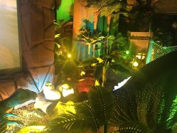 -恐龙探索乐园(磁器口店)