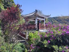 -广州市石门国家森林公园
